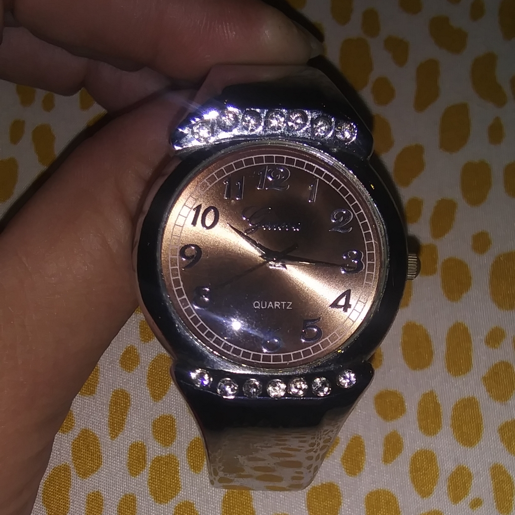 Geneva Watch